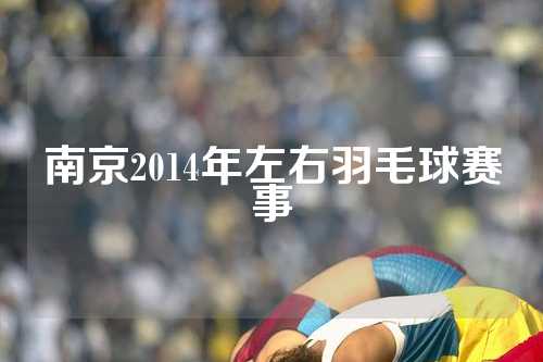 南京2014年左右羽毛球赛事