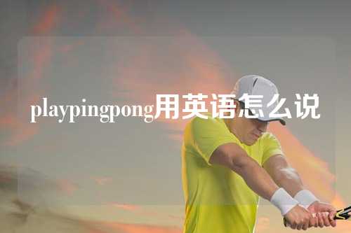 playpingpong用英语怎么说