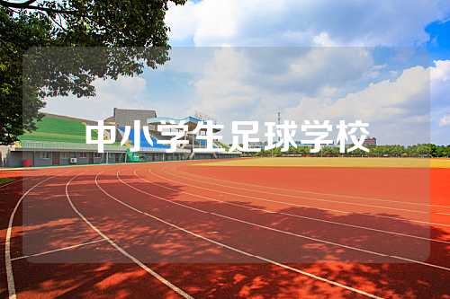 中小学生足球学校