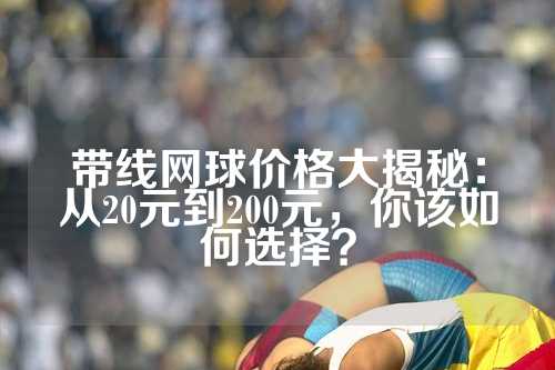 带线网球价格大揭秘：从20元到200元，你该如何选择？