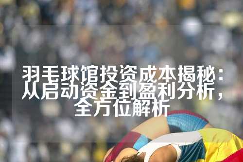 羽毛球馆投资成本揭秘：从启动资金到盈利分析，全方位解析