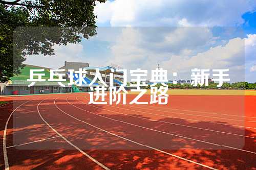 乒乓球入门宝典：新手进阶之路