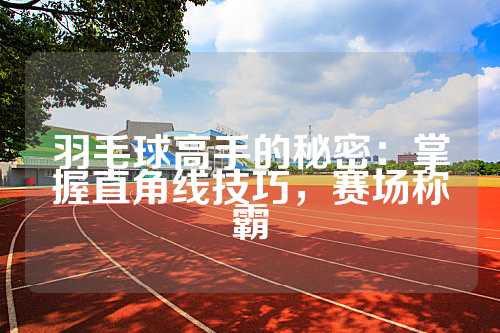 羽毛球高手的秘密：掌握直角线技巧，赛场称霸