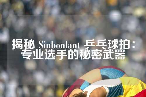 揭秘 Sinbonlant 乒乓球拍：专业选手的秘密武器