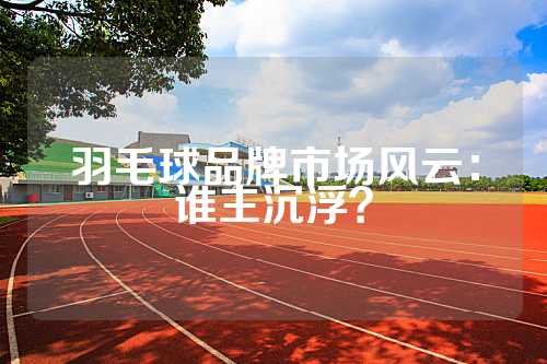 羽毛球品牌市场风云：谁主沉浮？