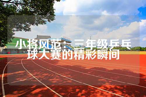 小将风范：三年级乒乓球大赛的精彩瞬间