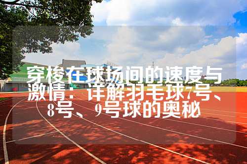 穿梭在球场间的速度与激情：详解羽毛球7号、8号、9号球的奥秘