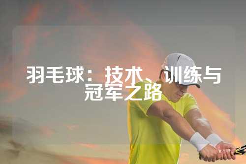 羽毛球：技术、训练与冠军之路