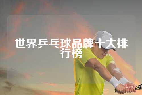 世界乒乓球品牌十大排行榜