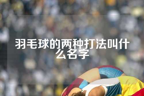 羽毛球的两种打法叫什么名字