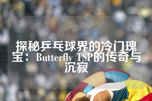 探秘乒乓球界的冷门瑰宝：Butterfly TSP的传奇与沉寂