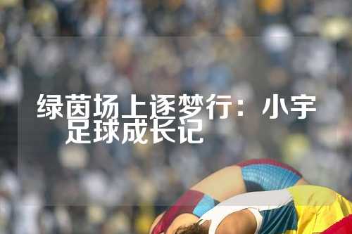 绿茵场上逐梦行：小宇足球成长记🌟