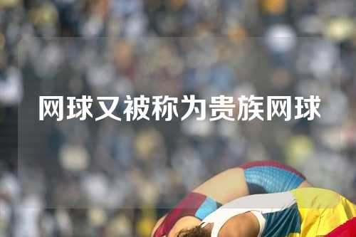 网球又被称为贵族网球