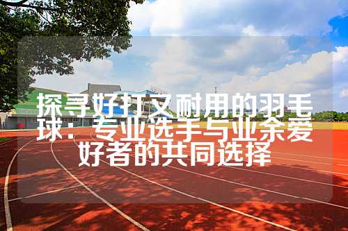 探寻好打又耐用的羽毛球：专业选手与业余爱好者的共同选择