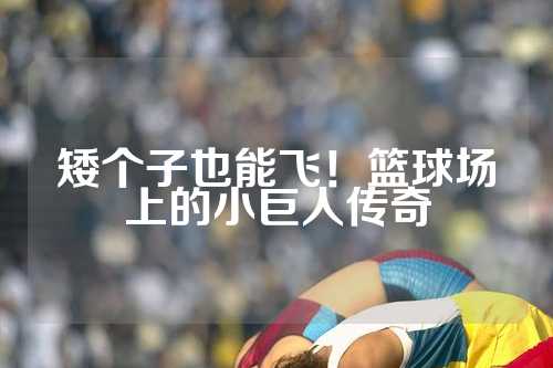 矮个子也能飞！篮球场上的小巨人传奇