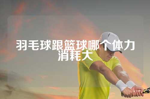 羽毛球跟篮球哪个体力消耗大