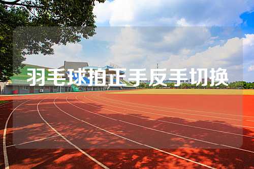 羽毛球拍正手反手切换