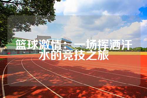 篮球激情：一场挥洒汗水的竞技之旅