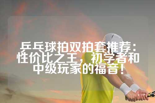 乒乓球拍双拍套推荐：性价比之王，初学者和中级玩家的福音！