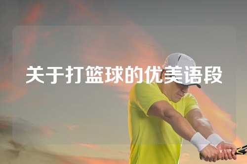 关于打篮球的优美语段