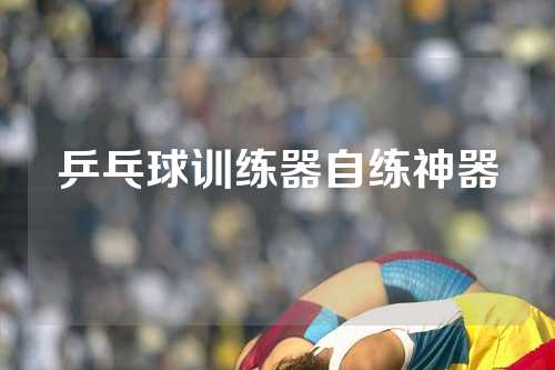 乒乓球训练器自练神器
