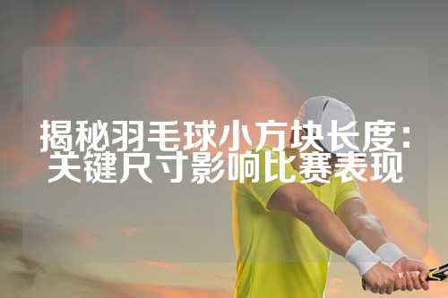 揭秘羽毛球小方块长度：关键尺寸影响比赛表现