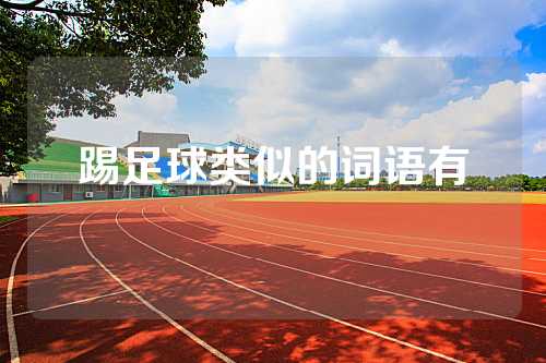 踢足球类似的词语有