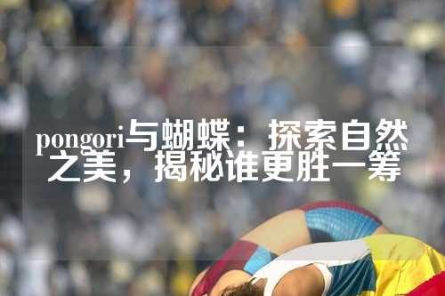 pongori与蝴蝶：探索自然之美，揭秘谁更胜一筹