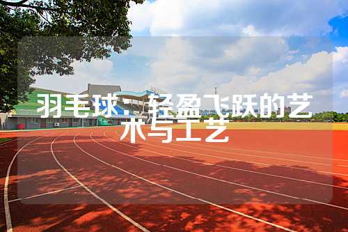 羽毛球：轻盈飞跃的艺术与工艺