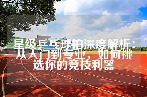 星级乒乓球拍深度解析：从入门到专业，如何挑选你的竞技利器