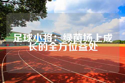 足球小将：绿茵场上成长的全方位益处
