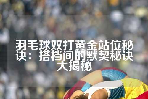 羽毛球双打黄金站位秘诀：搭档间的默契秘诀大揭秘