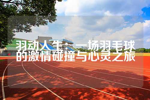 羽动人生：一场羽毛球的激情碰撞与心灵之旅