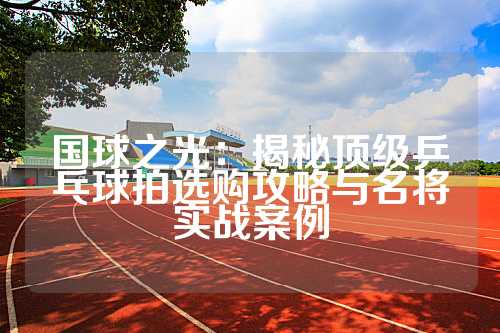 国球之光：揭秘顶级乒乓球拍选购攻略与名将实战案例