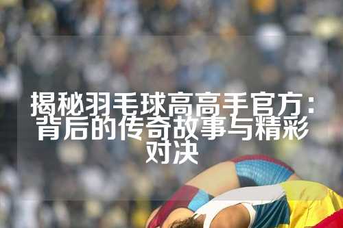 揭秘羽毛球高高手官方：背后的传奇故事与精彩对决