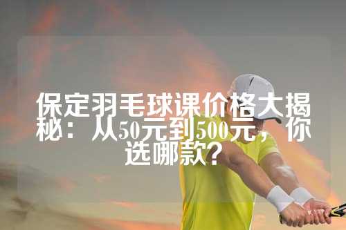 保定羽毛球课价格大揭秘：从50元到500元，你选哪款？